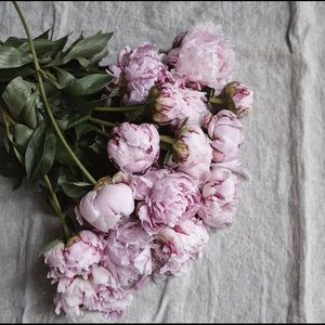 Meet your Posher, Tabitha